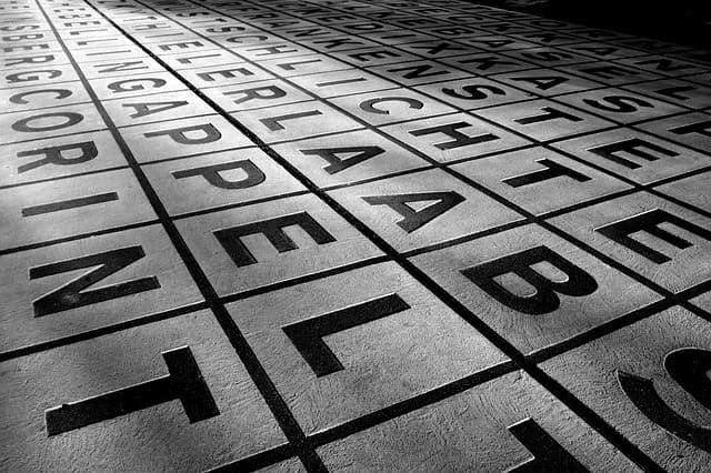 Hindi Unicode text converted into clear Shree Lipi format on a screen